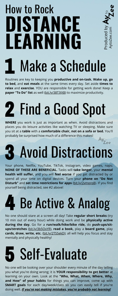Distance Learning Infographic
